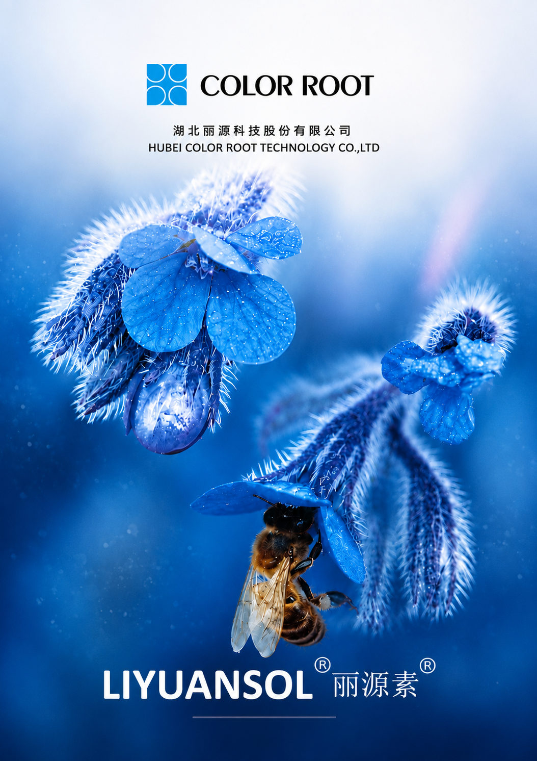 Liyuansol visual identity artwork